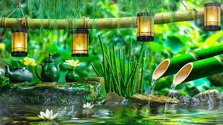 Relaxing Zen Music 24/7 - Bamboo, Relaxing Music, Meditation Music, Peaceful Music, Nature Sounds