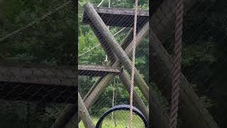 Good mod #newsong funny