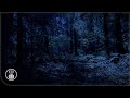 The Night Forest Ambience. Relaxing Sounds of Nature: Cicadas, Crickets and Screams of an Owl