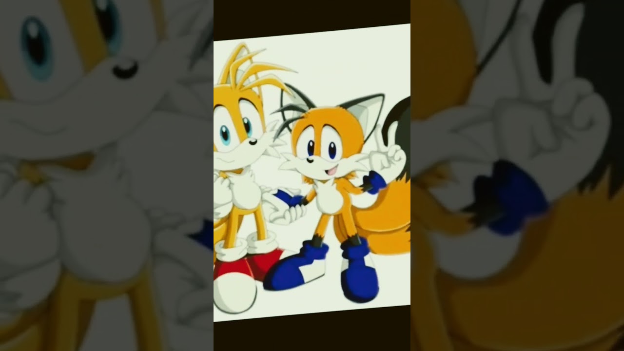 muito fofo tails e tony tailony