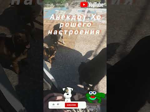 Анекдот:Хорошего настроения.#Shorts #Юмор #Анекдоты.