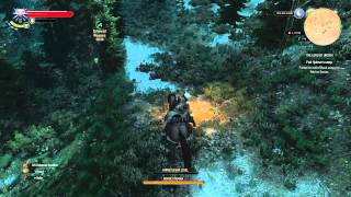 The Witcher 3 Wild Hunt How To Mounted Combat
