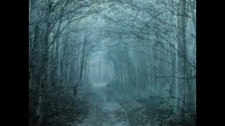 Apocalyptica - Farewell