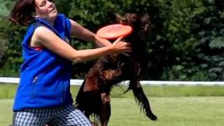 FunFactoryForFrisbee 2011 Vol. 1 (5.6.2011 Blšany) SLOW MOTION MOVIE by www.DogSports.cz