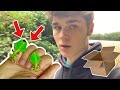 UNBOXING GIANT LEAF INSECTS!! (Phyllium giganteum)