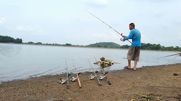 4.Cá trôi kéo cần lancer | Mồi Câu MF | 7- 5- 2023