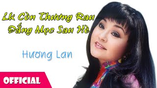 Video thumbnail of "Còn Thương Rau Đắng Mọc Sau Hè, Bông Bí Vàng - Hương Lan [Lyrics MV]"