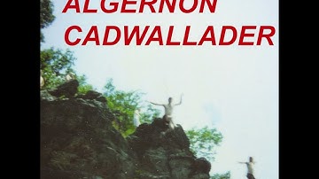 Algernon Cadwallader - Fun (2009)  (Full Album)