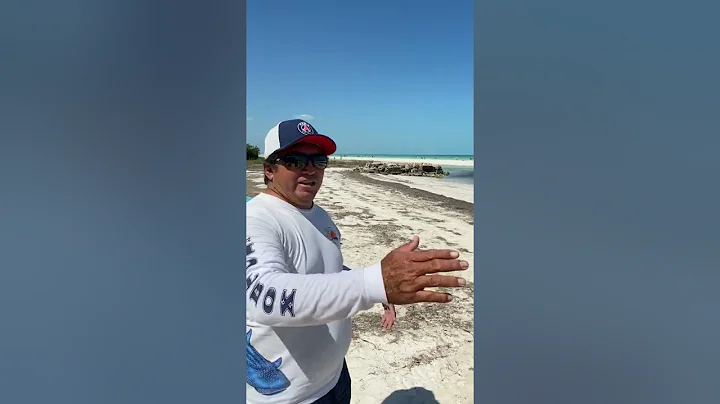 Diego Isla Holbox