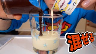 チョコとアイス1対1比率で混ぜたら何!? 驚きの結果((((；ﾟДﾟ)))))))  【検証】　PDS