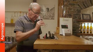 Agrometeo: Testimonial from winemaker Christian Blaser