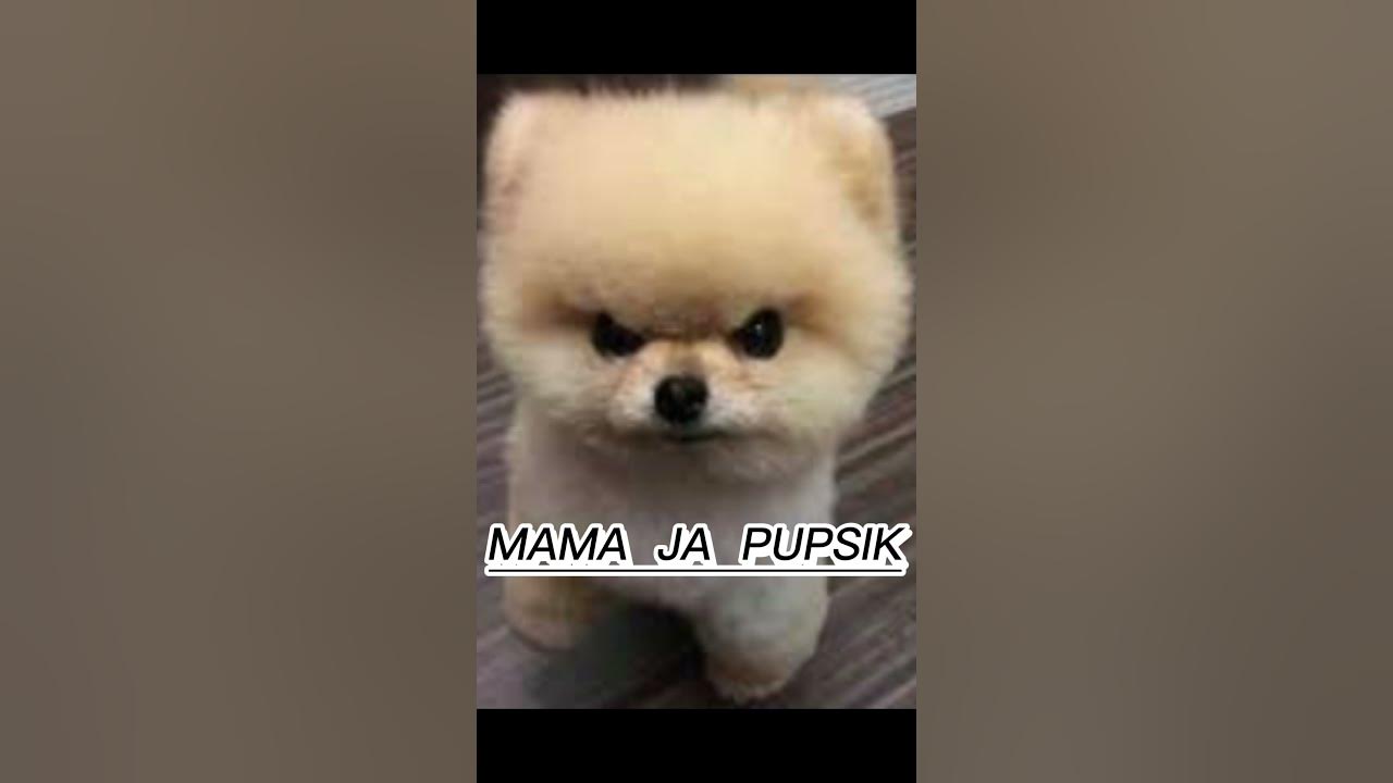 MAMA JA PUPSIK - YouTube