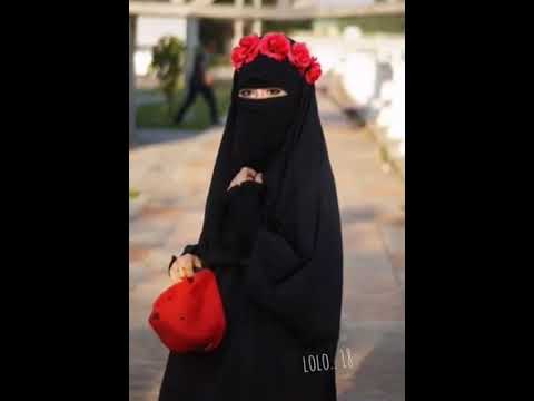 هزتني نسمات اليالي حالات وتس اب يا انسي انشيد 