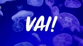 ALFA - Vai! (Sanremo 2024) - Testo/Lyric