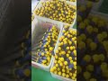 Pacha Tool #hardwaretools #abrasivetools #cuttingtools #chinafactory #cuttingtools #manufacturing