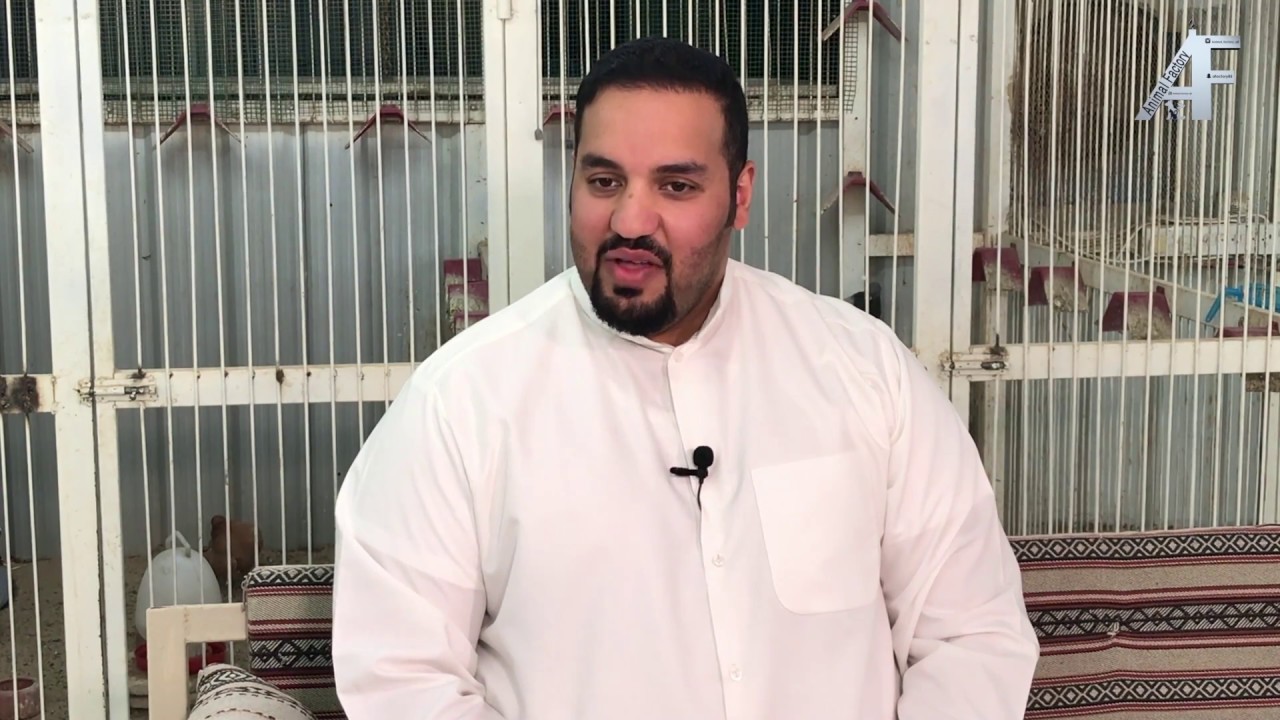 الحلقة السابعة والثلاثون animal factory 37 ( بيوتي هومر )