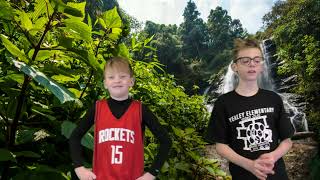 Travel to the Rain Forest