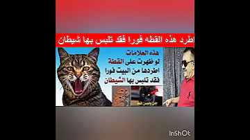 5 علامات لو ظهرو علي القط اللي عندك اطرده بسرعه من البيت Shorts Reels Viral 