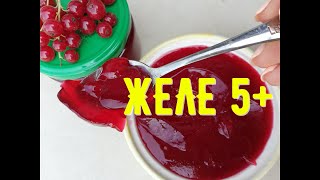 Желе на 5+ как МАРМЕЛАД. Без Агар-агара и желатина