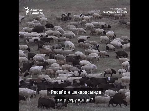 Бейне: Алтай Республикасының халқы - ерекшеліктері