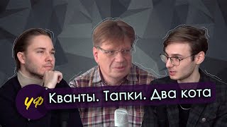 Карнавал квантовых частиц | Алексей Шарапов | ЧАС ФИЗИКА