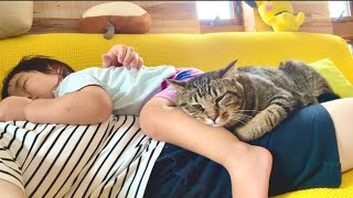 2歳児と猫が生まれてからずっと一緒に育つとこうなります...。