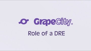 Role of a DRE (Development Relations Engineer) | GrapeCity India