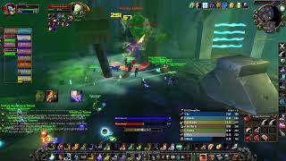 Gnomeregan Raid - Viscous Fallout Ele Shammy POV - WoW SoD