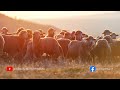 Matthew 25:31-46 | Fall in Line