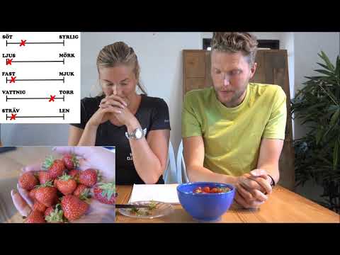 Video: Strawberry Darselect. Sordi kirjeldus, ülevaated