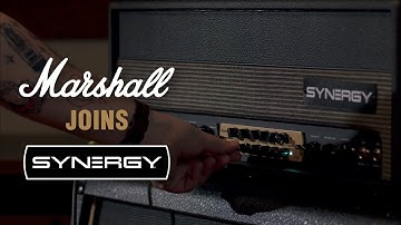 Legendary Tone In A Modern Format - SYNERGY Marshall JMP PREAMP MODULE