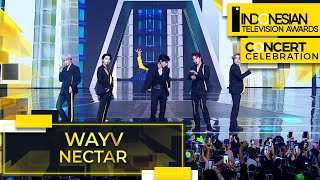 WayV - Nectar |  Indonesian Television Awards 2022