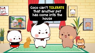 Daabu’s Coco vs. Mikki’s Cat Rivalry Begins 🐶🐱ason & Moona’s Wedding Planning 💍  #BDC926