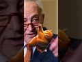 Nick Shirley exposes Chuck Schumer's sick cat pole dancing fetish