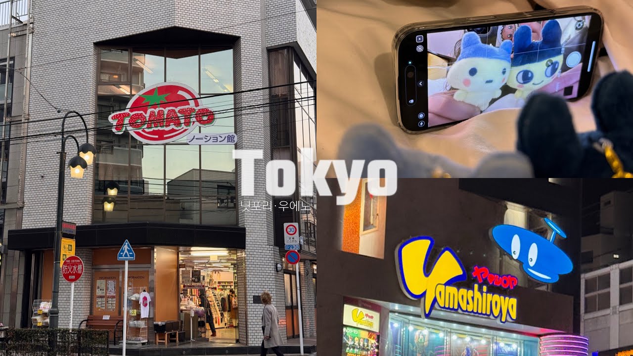 [오타쿠 브이로그] 도쿄 vlog #1 닛포리 토마토 원단시장🍅 마지막엔 결국 일반인 친구 오타쿠샵 끌고 가기 | 나의 히어로 아카데미아ㆍ은혼ㆍ카드캡터체리