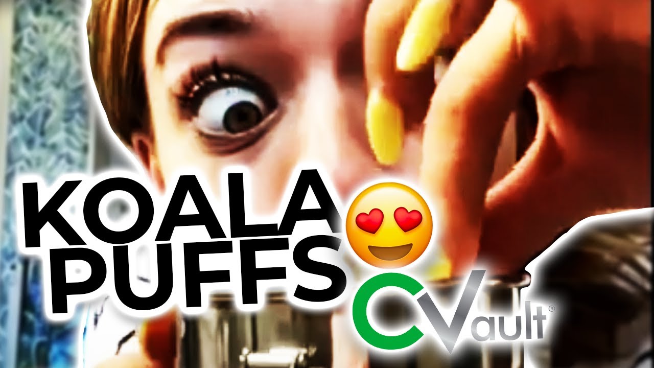 Koala Puffs Finds the Perfect Gift! Nesting CVaults! YouTube