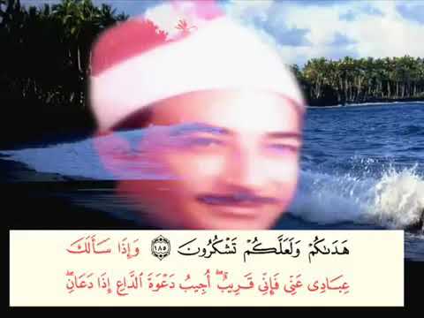 Famous Shaykh Qari Tukhi الطوخي Quran Recitation - Surah Baqarah Clip