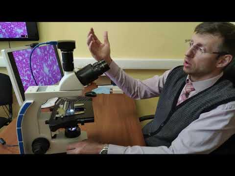 Микроскоп Микромед 3 U3 тринокулярный цифровой, увеличение 7500 крат ...