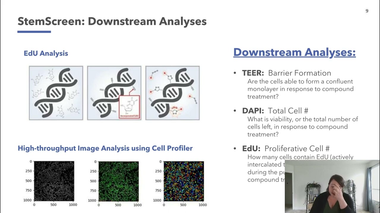 Predicting Clinical GI Safety Outcomes Using an In Vitro Human Intestinal Epithelial Model