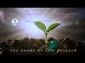 Seeds of Life Science | Mercy College, Sligo