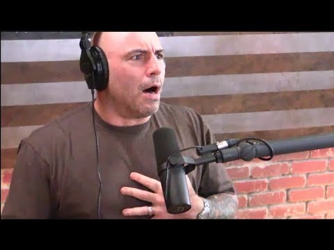 Joe Rogan - Floyd Mayweather vs. CM Punk in MMA?