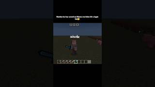 Minecraft Warden Ko Har Sword Se Marne Me Kitne Hits Lagte Hai? 😱
