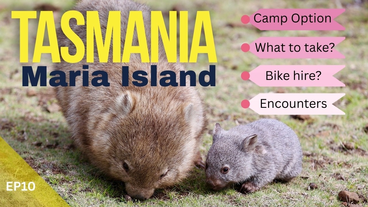 Maria Island a true Tassie gem with wildlife, stunning landscape and history EP10
