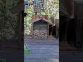 Back to Your Corners 😳🐿️🥜