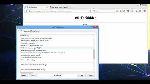 Fleep.io HTTP Header Injection | Response Splitting | CRLF