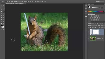 PHOTOSHOP CC TYTORIAL:squirrel with lightsaber!!!