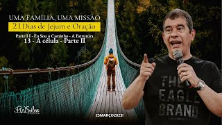 LIVE 21 Dias de Jejum e Oração com Pr. Wilson Silva - Cap. 13 - A célula - Parte II - 25/03/2023 screenshot 3