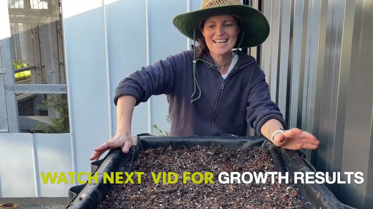 🥦 Broccoli Growing Series | Week 1 | Full Preparation  and Sowing Seeds.