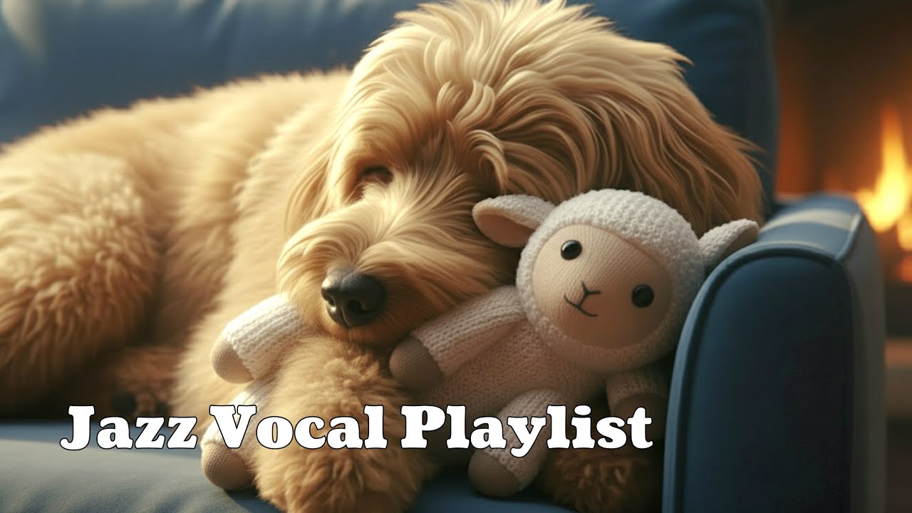 내가 사랑하는 영화와 책 그리고 재즈 l Relaxing Jazz for Working