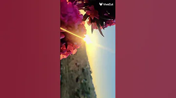 جمالك حطم أرقام 